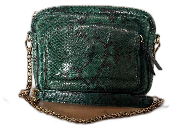 Claris Virot Charly Sac à main en python vert