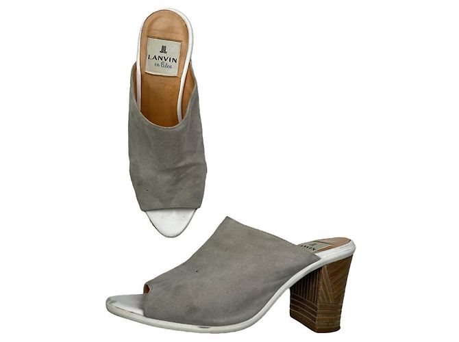 Lanvin Grey Leather Heel
