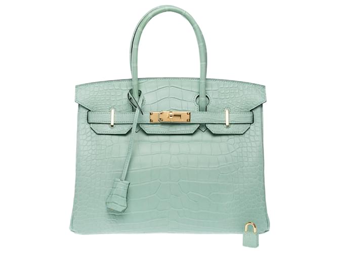 Hermès HERMES Birkin 30 Bag in Exotic Leather Green - 102508  ref.2040438