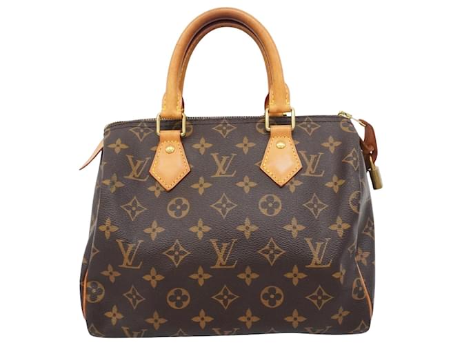 Louis Vuitton Speedy 25 Brown Cloth  ref.2073532