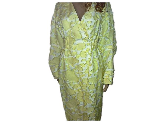 Autre Marque El vestido maxi The Coat de Katya Silcenko Amarillo