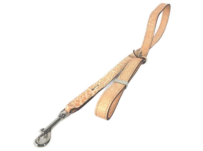 Hermès Coleira para cachorro Hermes Laranja