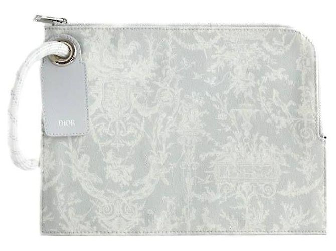 Dior Clutch gris