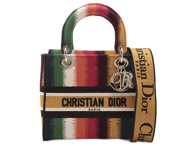 Dior Lady D-Lite Medium Embroidery Canvas 2-Ways Tote Bag Multicolor Multiple colors