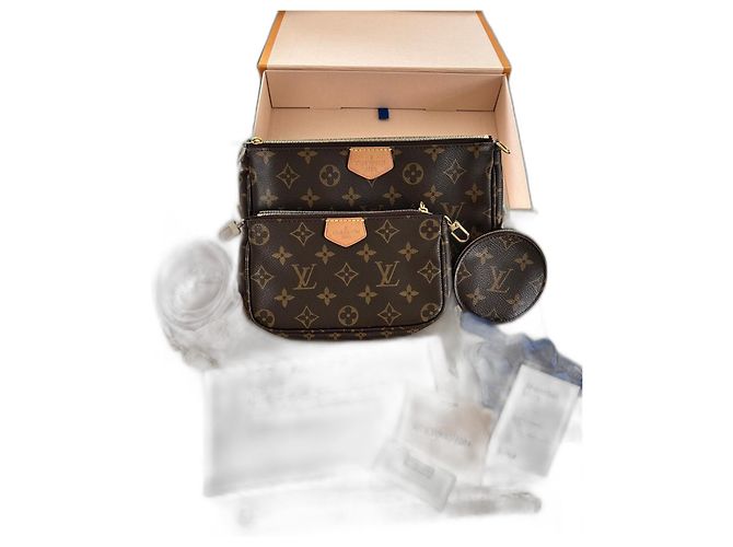 Louis Vuitton Multi pochette accessoires Marron
