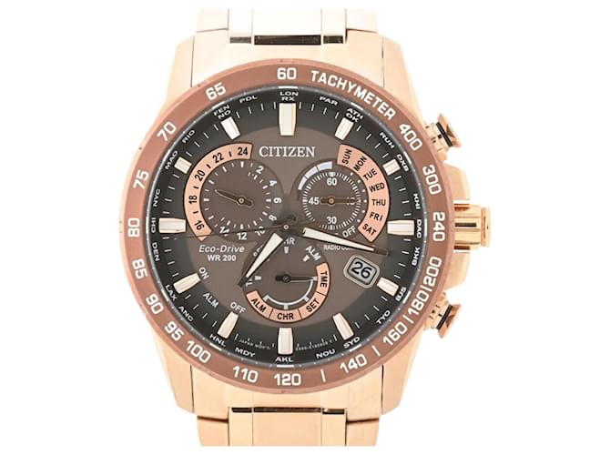 Citizens of Humanity Citizen Eco-Drive Brown Quartz Wristwatch  ref.2205875