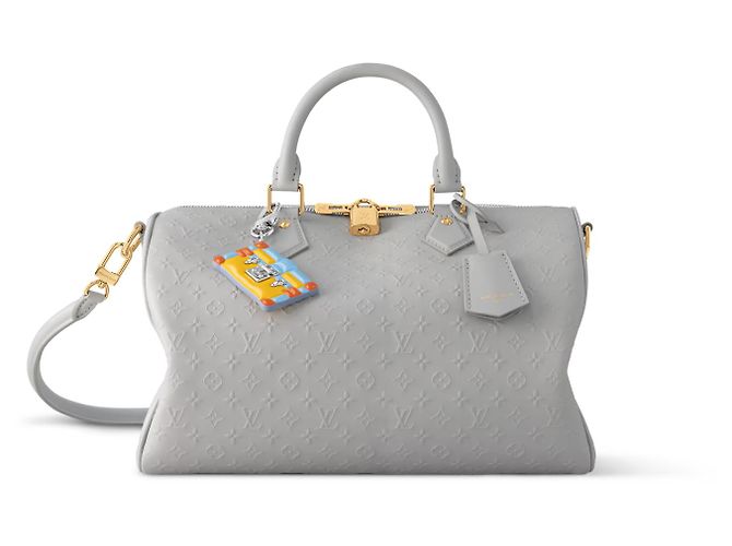 Louis Vuitton Speedy Soft 30 Cuir Gris