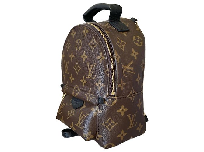 Louis Vuitton Palm Springs Mini Marrom