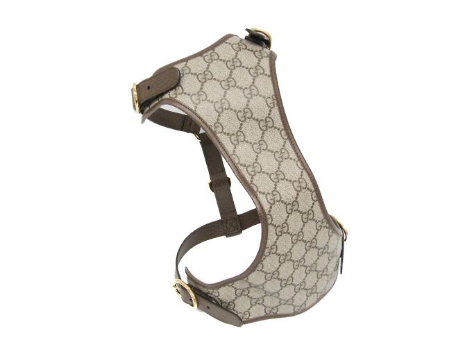 Arnês para cachorro Gucci GG Supreme Bege Castanho escuro
