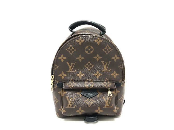 Louis Vuitton Palm Springs MINI Backpack Brown