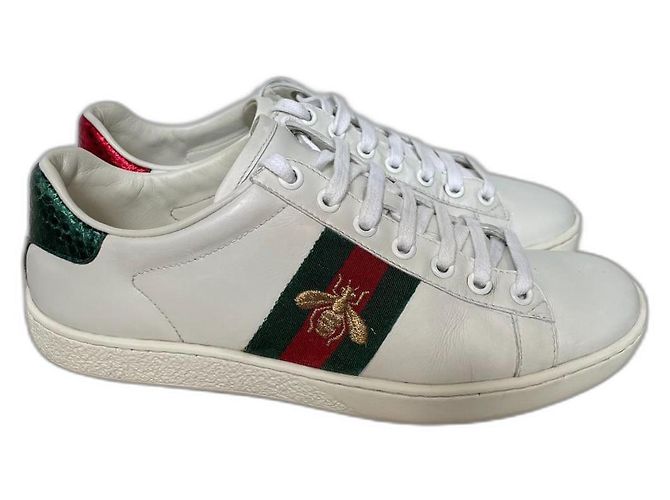 Sneakers Gucci Ace in pelle bianca Bianco