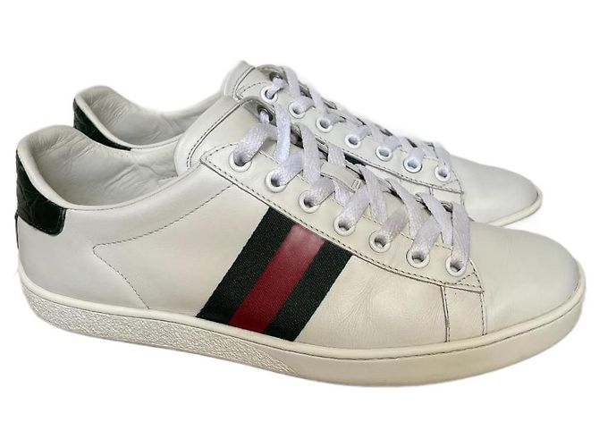 Sneaker Gucci Ace in pelle bianca Bianco