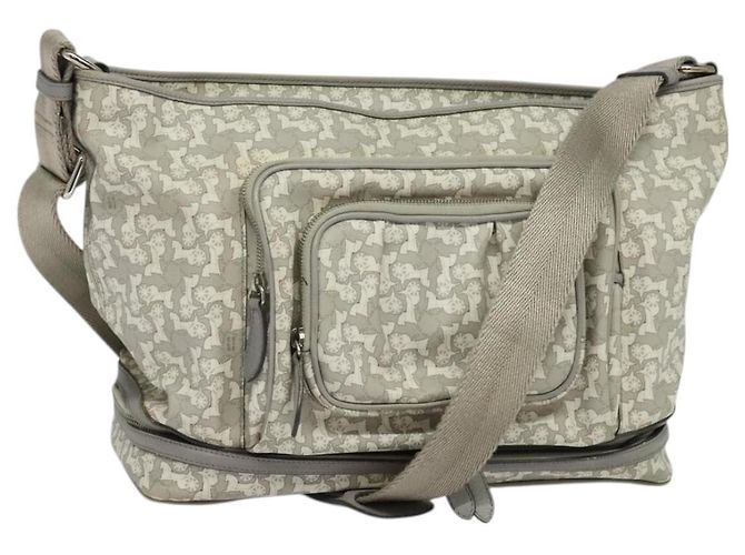 Céline Borsa a Spalla Sulky in PVC Grigio Argento Auth bs27193 Marrone
