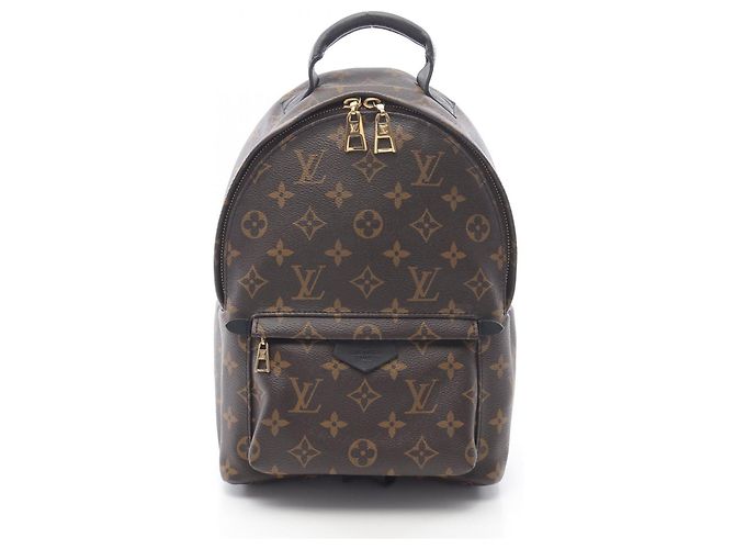 Louis Vuitton Palm Springs PM Rucksack Braun Schwarz