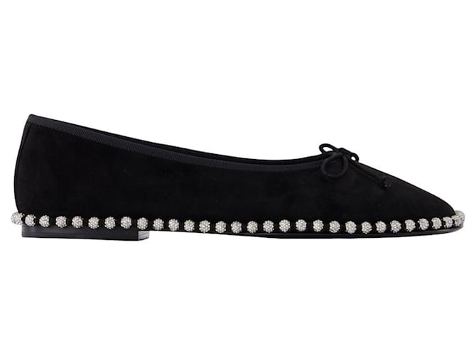 Autre Marque Lina Ballchain Ballerinas - Alexander Wang - Leather - Black Pony-style calfskin  ref.2489530
