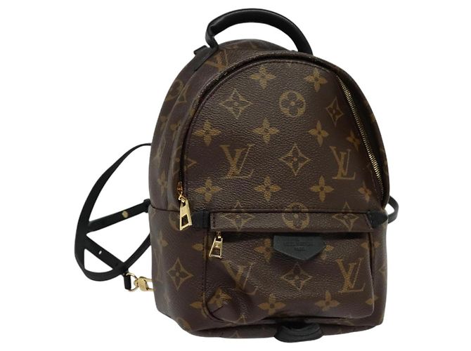 Louis Vuitton Palm Springs Monogram Canvas Mini