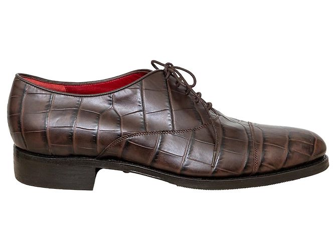 Scarpe in pelle impresso Salvatore Ferragamo Marrone