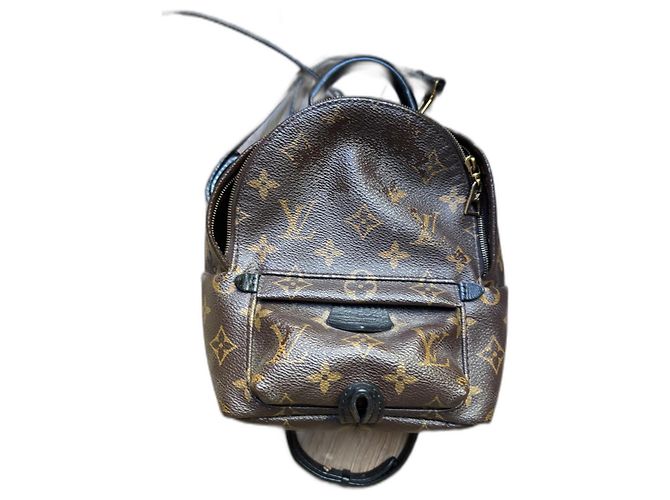 Louis Vuitton Palm Spring Mini Backpack Monogram