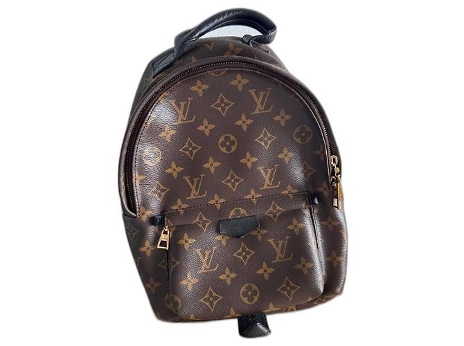 LOUIS VUITTON Monograma Palm Springs Castaña