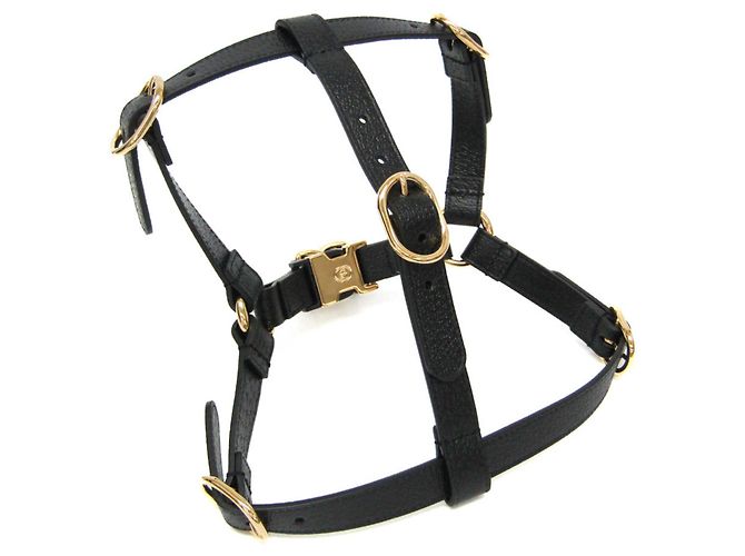 Gucci Interlocking G Dog Harness Black
