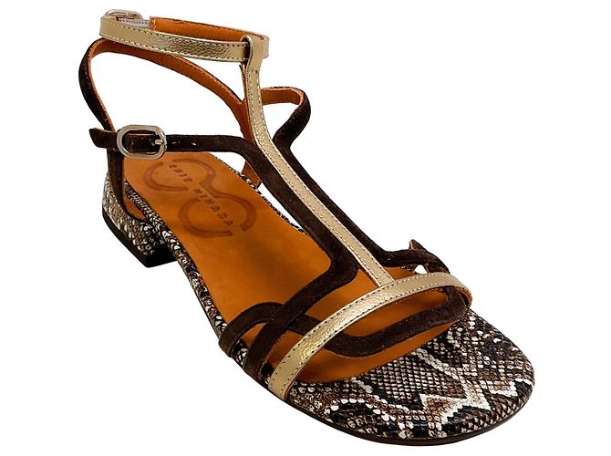 Sandales Chie Mihara Dali Campan Snake Ante Testa