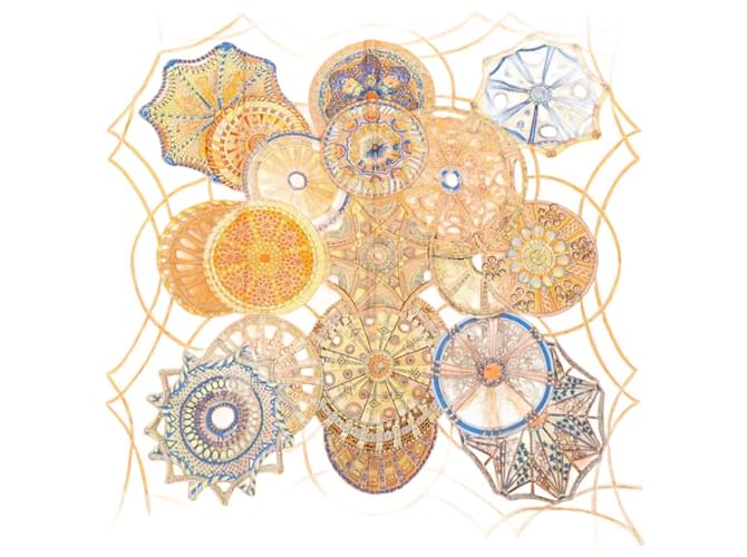 Hermès Carré 140 "LES DOMES CELESTES" Silk handkerchief in Orange  ref.2611627
