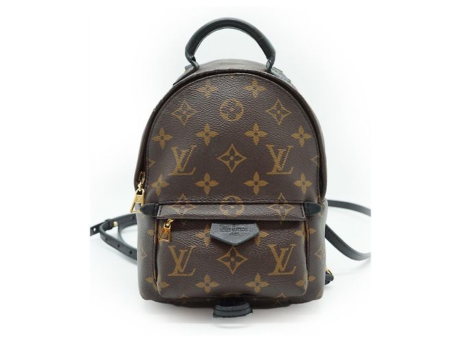Louis Vuitton Mini Palm Springs Monogram Marron