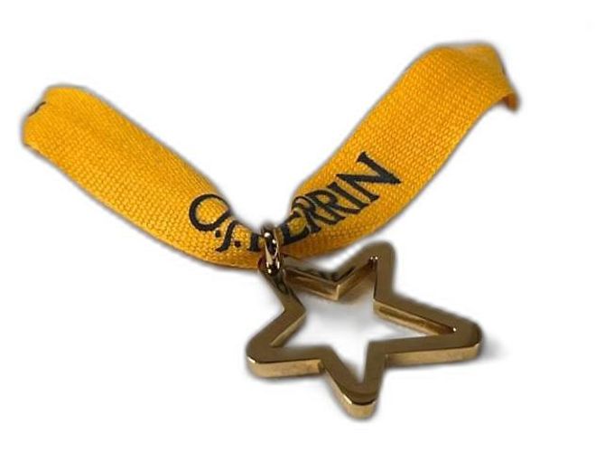 Pendente a Stella O.J. Perrin in Oro 750 D'oro