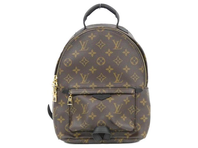 Louis Vuitton Monogram Palm Springs Backpack PM M44871 Brown