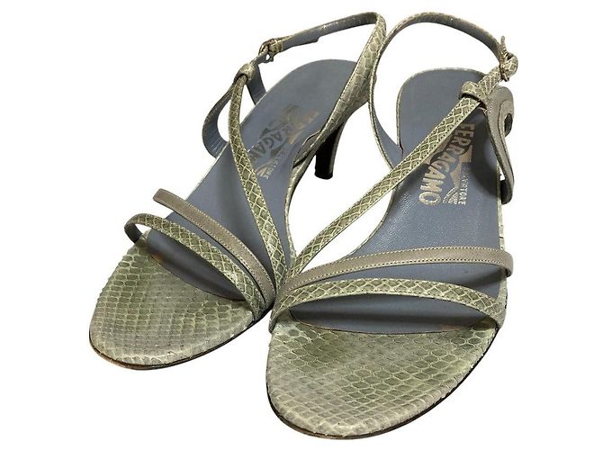 Sandali in Python Salvatore Ferragamo Blu
