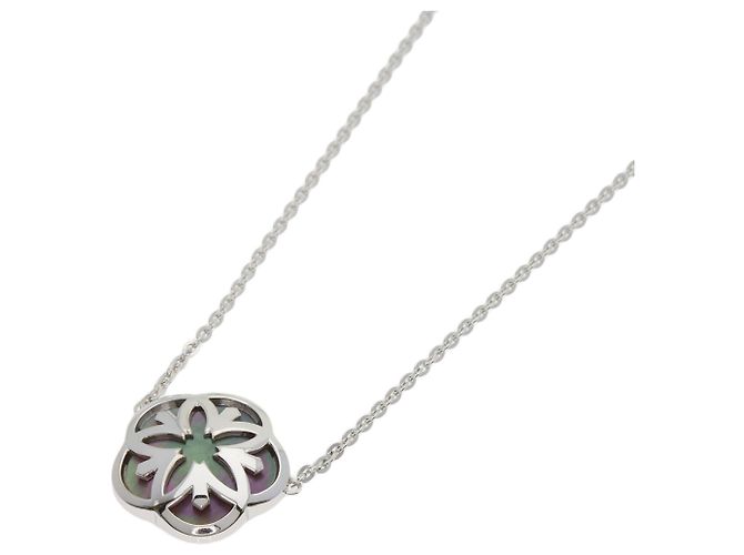 Collar de Concha Omegamania Omega