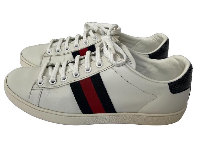 Baskets Gucci Ace en cuir blanc