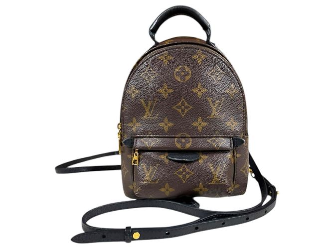 Louis Vuitton Palm Springs MINI Monogram Canvas Backpack Brown