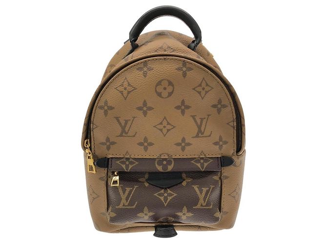 Louis Vuitton Monogram Reverse Palm Springs Backpack Mini Brown