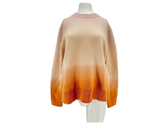 Proenza Schouler Maglione in misto lana e cashmere Beige