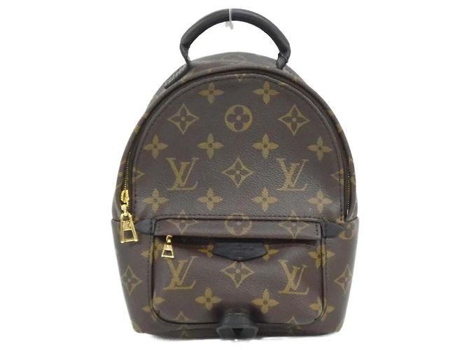 Louis Vuitton Monogram Palm Springs Backpack Mini M44873 Brown
