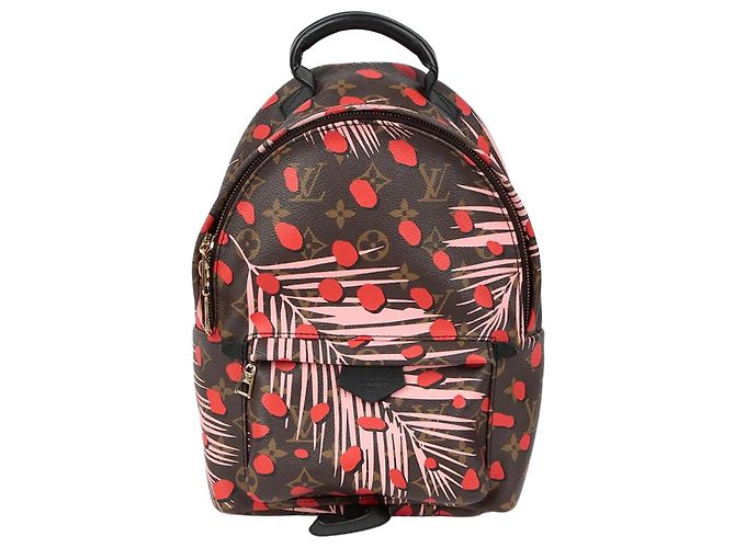 Louis Vuitton Palm Springs PM Rucksack Mehrfarben