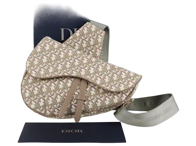 Saddle Dior Borsa a tracolla a spalla a sella Multicolore