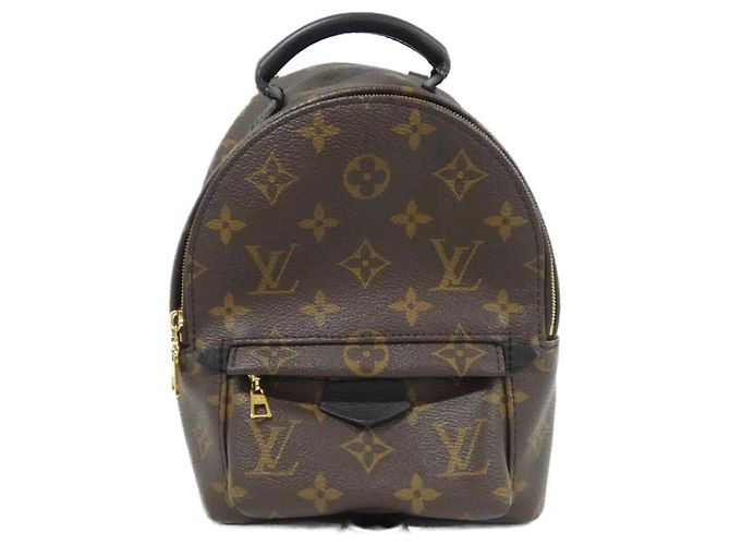 Louis Vuitton Monogram Palm Springs Backpack Mini Brown
