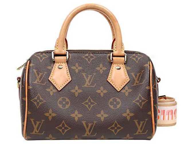 Louis Vuitton Borsa Tote Speedy Monogram Multicolore