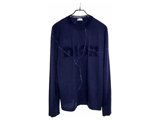 Dior Daniel Arsham Strick Blau 