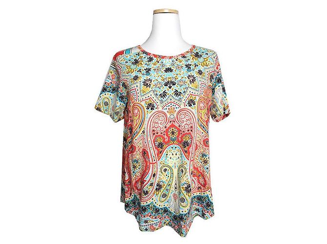 Etro Mehrfarbiges T-Shirt Mehrfarben