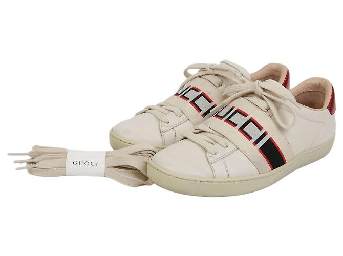 Gucci Baskets Ace Banding Blanc