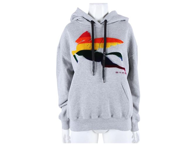 Etro Langarm-Hoodie Braun