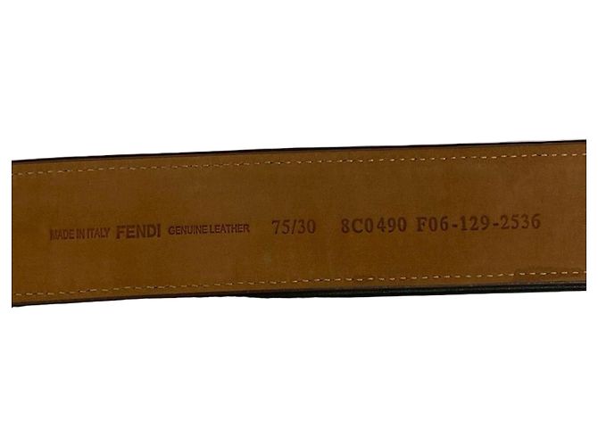 Cinto de lona e couro com fivela logo FF listrada Pecan da Fendi Marrom Preto