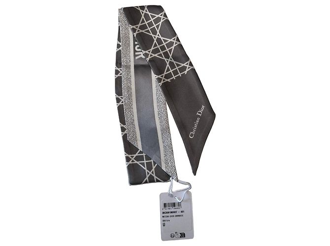 Bufanda de Seda Christian Dior Gris