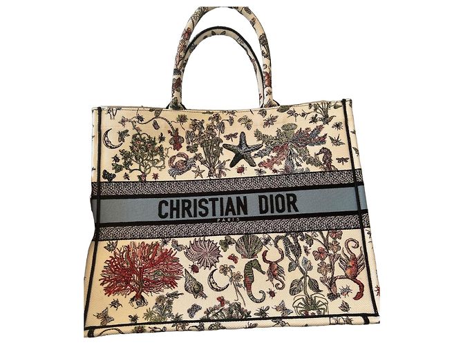 Bolsa Tote Grande Dior de tecido