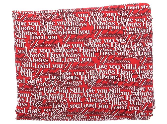 Balenciaga Karo Viscose Schal Rot