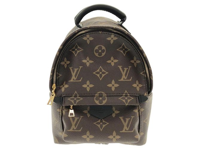 Louis Vuitton Monogram Palm Springs Mini Rucksack Braun