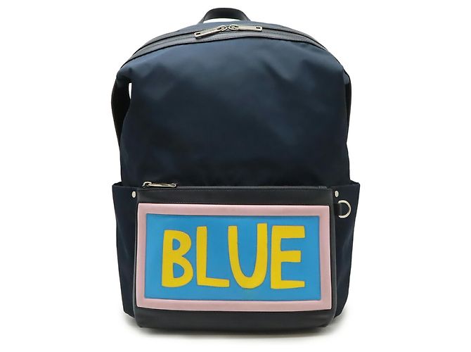 Fendi Backpack Rucksack Daypack Pink Blue Navy blue